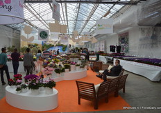 Royal van Zanten also hosted the breeders Danziger, Horteve Breeding and Morel Diffusion