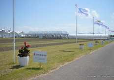 The impressive sweep of Takii Seed. The Japanse breeder also hosted Evanthia, Hem Genetics, Flora nova and Thompson Morgan