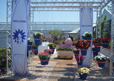 A warm welcome at HilverdaKooij