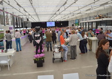 On Wednesday the Klaas Schoone Memorial Award was presented to Herrn Burkhard Holm at Flora Cultura. Holm won the price for his extensive merit in the breeding of orchids