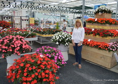 Gill Corless, marketing and retail manager, gave us an etensive overview of all the novelties and developments within Sakata Ornalmentals