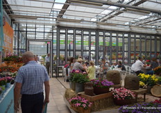 Schoneveld Breeding en Selecta presented together at the the FloraHolland auction location in Naaldwijk