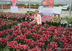 Jessica van de Wetering van Lily Looks told us all about the newest varieties