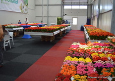 In the showroom at KP Holland