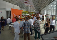 Thursday night at Fides - the breeder which is also part of Dummen Orange - a genuine party was organised.