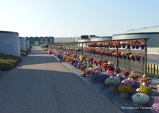 The driveway at Fides