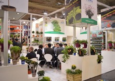 The booth of Hishtil.