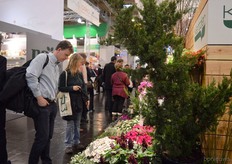 Visitors looking at the plants of Kientzler.