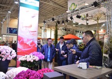 The flowers of Meilland attract a lot of attention.