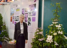 Lindsay Reid from The Guernsey Clematis Nursery. She is standing next to their new Clematis that is added to the Boulevard collection and is called the Volunteer. According to Reid, this flower is a tribute to all volunteers.
