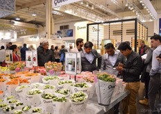 Visitors looking at Queen kalanchoes.