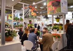 Nomi Hen of Cohen (in front) and Rely Jaldety of Jaldety (in the back).