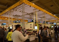 The Belgians united again in the Belgium-pavilion.