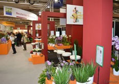 In 1A novelties and market introductions were presented.