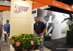 Maikel Loots from Forever & Ever, hoping to raise some interest for its hortensia segment