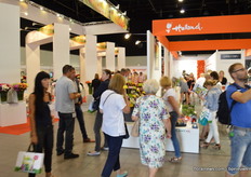 Greenn organized a Dutch pavilion, faciliting fair participation for a group of Dutch companies in about every respect