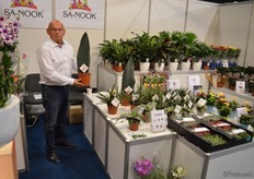 Nico Kortekaas representing an assortment of a group of Dutch growers. One of them, Kwekerij Zeurniet, has a new sanseveria, the Sansevieria Masoniana Victoria