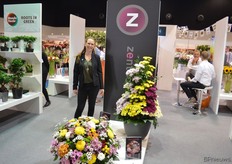 Otti Blok of chrysanthemum brand Zentoo.