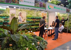 Vitro Warszawa, the Polish business of Vitro Westland, a company that is operating in Poland for several years.