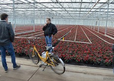 One of the growers at Baas comments on the cultivation.