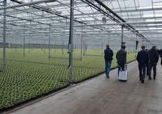 And at Baas, they're already preparing for the spring season.