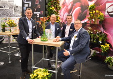 The bulb captains of Kapiteyn Calla