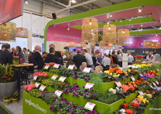 A full house at Syngenta Flowers