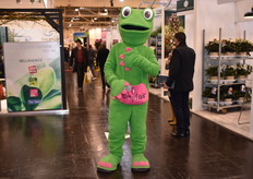 A handsome frog was looking for friends.