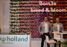 Bert Spijk & Kees Lagerwerf with KP Holland - shining with the kalachoeum wand.