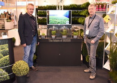 Martin de Vos and Didier Hermans presented a buxus variety resistent to the infamous buxus moth.