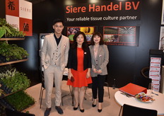 Pey Yin, Xi Chen and Yi Li from Siere Handel represented their tissue culture at the expo.