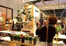 The kalanchoe in cups creation attracted a lot of attention of the visitors.