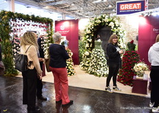 The wedding roses of David Austin being photographed throughout the day.