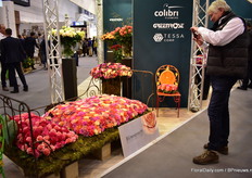 De flowers presented by Blütenpracht.