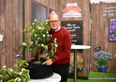 Anthony Tesselaar of Tesselaar togehter with Perfume Princess; a new cross between Odora x Bholua. Odora is compact and Bholua fragrant. Accroding to Tesselaar, it is a very flexible variety as it thrives on many spots in the garden.