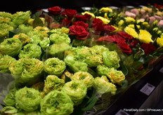 Love forever of Roses Forever.