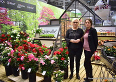 Helle Graff and Nethe Stensgaard of Graff. Spotlight at their booth is their new dipladenias in the series; Q-deville. Out of Uganda and Vietnam they can supply growers all over the world.