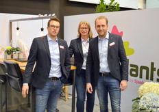 The team of Sjaak van Schie, one of the bigger players in the world of hydrangeas.