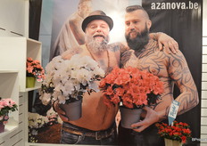 AIKO and TOSHI are two brands in the Belgian azalea business, marketed with posters like these.