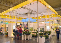 Returning to the fair once again, the Belgian pavilion in hall 2