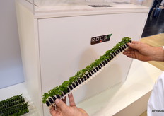 ROCS, which stands for Rooted Cutting Solutions.