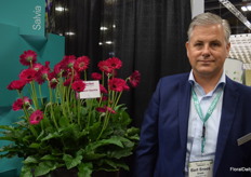 Bart Sneek, Commercial Director at HilverdaFlorist next to Garvinea Sweet Sparkle. The Sweet Series includes 17 different colours.