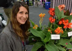 Here is Kelsey Minalga with Ball Ingenuity, next to a Canna Canrova Red Golden Flame- very vibrant color with the two contrasts on the bloom.