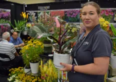 Rebecca Orr from Terra Nova is holding a Philodendron Pin Princess, which is now hugely popular as houseplant.