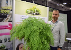 Machiel Matthijssen from VitroPlus, shows the Fragrans maiden hair fern
