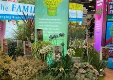 Last but not least, the Sunset Plant Collection display