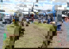 Exhibition floor, all outdoors. 