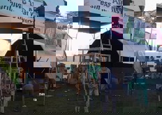 Last minute preperations, the morning before the show took off, on September 16, 2022.