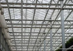 The greenhouse is equipped with an energy screen, a blackout screen and a diffuse screen cloth.