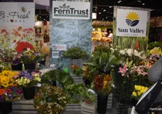 Certified American Grown – all farms are displaying their own stands, B-Fresh Floral is also only in the CAG pavilion.